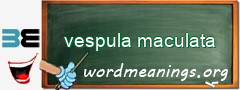 WordMeaning blackboard for vespula maculata